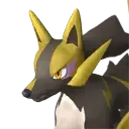Rayhound